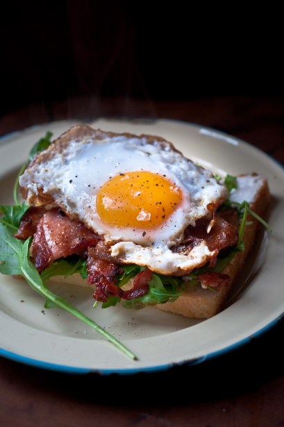 pine needle duck egg sandwich