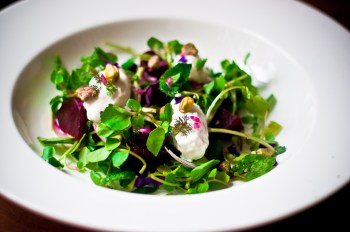 beetroot, orange blossom, pistachio, greek yoghurt salad-2