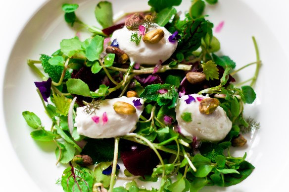 beetroot, orange blossom, pistachio, greek yoghurt salad