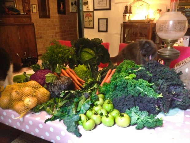 Piles of incredible veg grown just a few miles away for less than £10