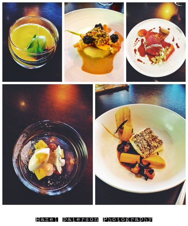 some of the courses I had at Alimentum, extraordinarily good food.