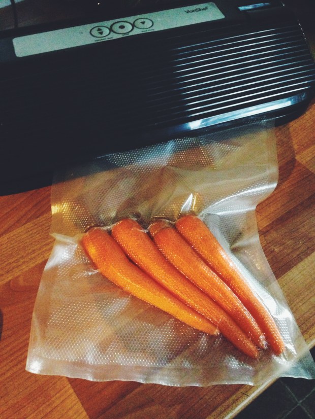 A simple test of the sous vide's abilities