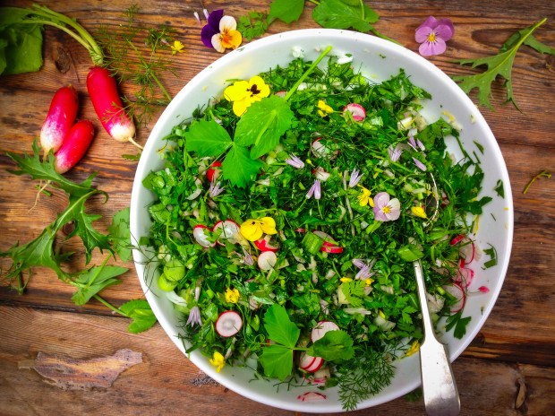 parsley and fennel salad